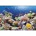 PUZZLE 1000 TEILE KORALLENRIFF KORALLEN RIFF MEER FISCHE TIER TIERE