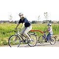 Tandemstange DINO Nachl�ufer Kinderrad T�V/GS