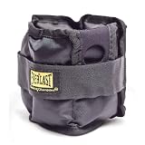 Everlast Ankle/Wrist Weights
