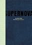 Supernova: Art of the 1990s From the Logan Collection