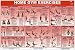 Books : Home Gym Exercises Laminated (Poster)