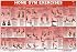 Home Gym Exercises Laminated (Poster)