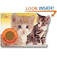Happy Baby: Kitten And Friends by Roger Priddy