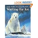 Waiting for Ice