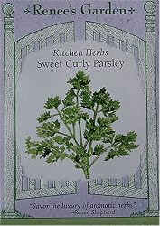 Parsley Sweet Curly Seeds 600 Seeds