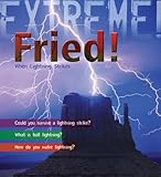 Fried! : when lightning strikes