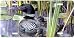 In the Swim of Things - Ducks - Wildlife Decor Art Print - License Plate Tag By Carl Brenders From Airstrike