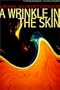 A Wrinkle in the Skin