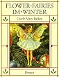 Flower Fairies, Im Winter