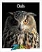 Owls