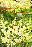 月刊 むし 2008年 05月号 [雑誌]の画像