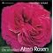 ROSENB�CHER VON FORMAT