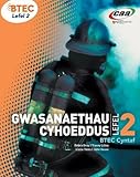 Gwasanaethau cyhoeddus lefel 2