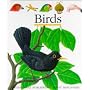 Birds (My First Discoveries Series)
