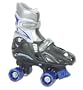 Chicago Boys Adjustable Quad Skate (Small, J10-J13)