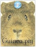 I am your pet guinea pig