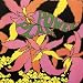 Rare US psych masterpieces