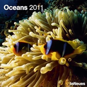 2011 Oceans Wall Calendar by teNeues