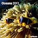 2011 Oceans Wall Calendar (Square Wall Cal)