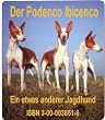 Mein Podenco Ibicenco. Ein etwas andere Jagdhund: Geschichten und Erinnerungen