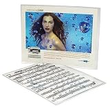 QuikFinish 11020 Letter Size Laminating Pouches for hot laminators, 5 mil thickness, quantity 100