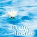 Stream of Dreams