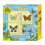 Bugs World - Collection of Real Butterflies preserved in resin.