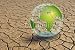 Wallmonkeys Peel and Stick Wall Decals - Terre Ecologie Environnement - Removable Graphic
