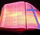 The Bible, Douay-Rheims, New Testament