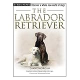 The Labrador Retriever (Terra Nova Series)