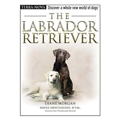 The Labrador Retriever (Terra Nova Series)