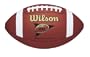 Wilson F1705 Tackified Composite Football (Official Size)
