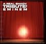 Shady Tribute to Eminem