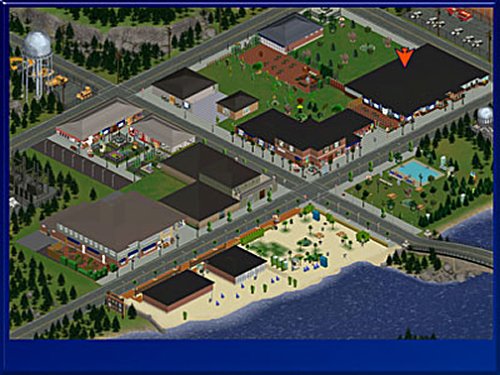 large image