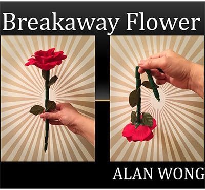 The Breakaway Flower by Alan Wong - Trick