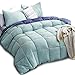 KASENTEX All Season Down Alternative Quilted Comforter Set with Sham(s) -Reversible Ultra Soft Duvet Insert Hypoallergenic Machine Washable, Queen, Turquoise Sea Green/Twilight Blue
