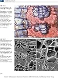 Mikroskopisch-Botanisches Praktikum f�r Anf�nger - Gerhard Wanner