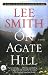 On Agate Hill: A Novel