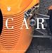 Car Gallery Calendar 2005 (Workman Gallery Calendar)