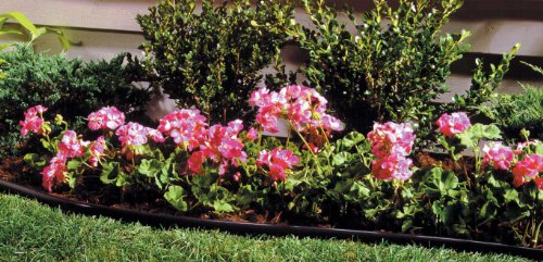 60 ft. Lawn & Landscape Edging