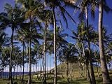 Anakena Beach, Easter Island, Chile Photographic Poster Print, 24x18