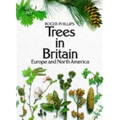 Trees in Britain, Europe and North America