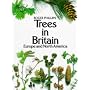 Trees in Britain, Europe and North America