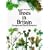 Trees in Britain, Europe and North America