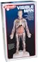 Skillcraft Visible Man 16" Anatomy Model