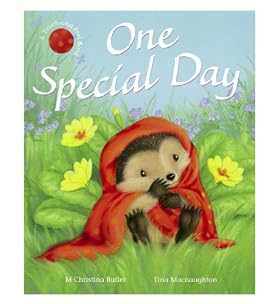 One Special Day Story Book