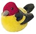 Plush Western Tanager 5 