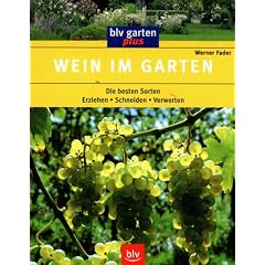 Wein im Garten