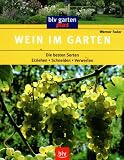 Wein im Garten