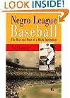 Negro League Baseball: The Rise and Ruin of a Black Institution